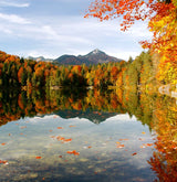 Breathtaking golden hour sunset over a lake with trees and mountains, reminding UV Skinz wearers to stay sun-safe even during autumn adventures