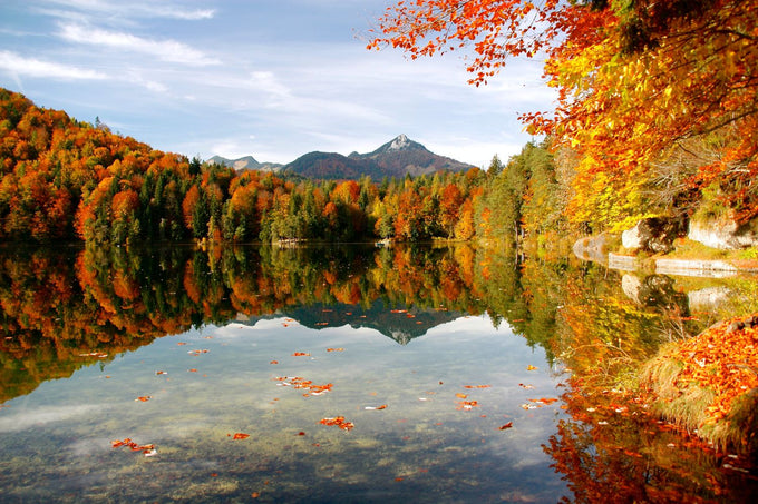 Breathtaking golden hour sunset over a lake with trees and mountains, reminding UV Skinz wearers to stay sun-safe even during autumn adventures