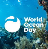 Celebrating World Ocean Day: UV Skinz’s Commitment to a Healthier Ocean and Planet